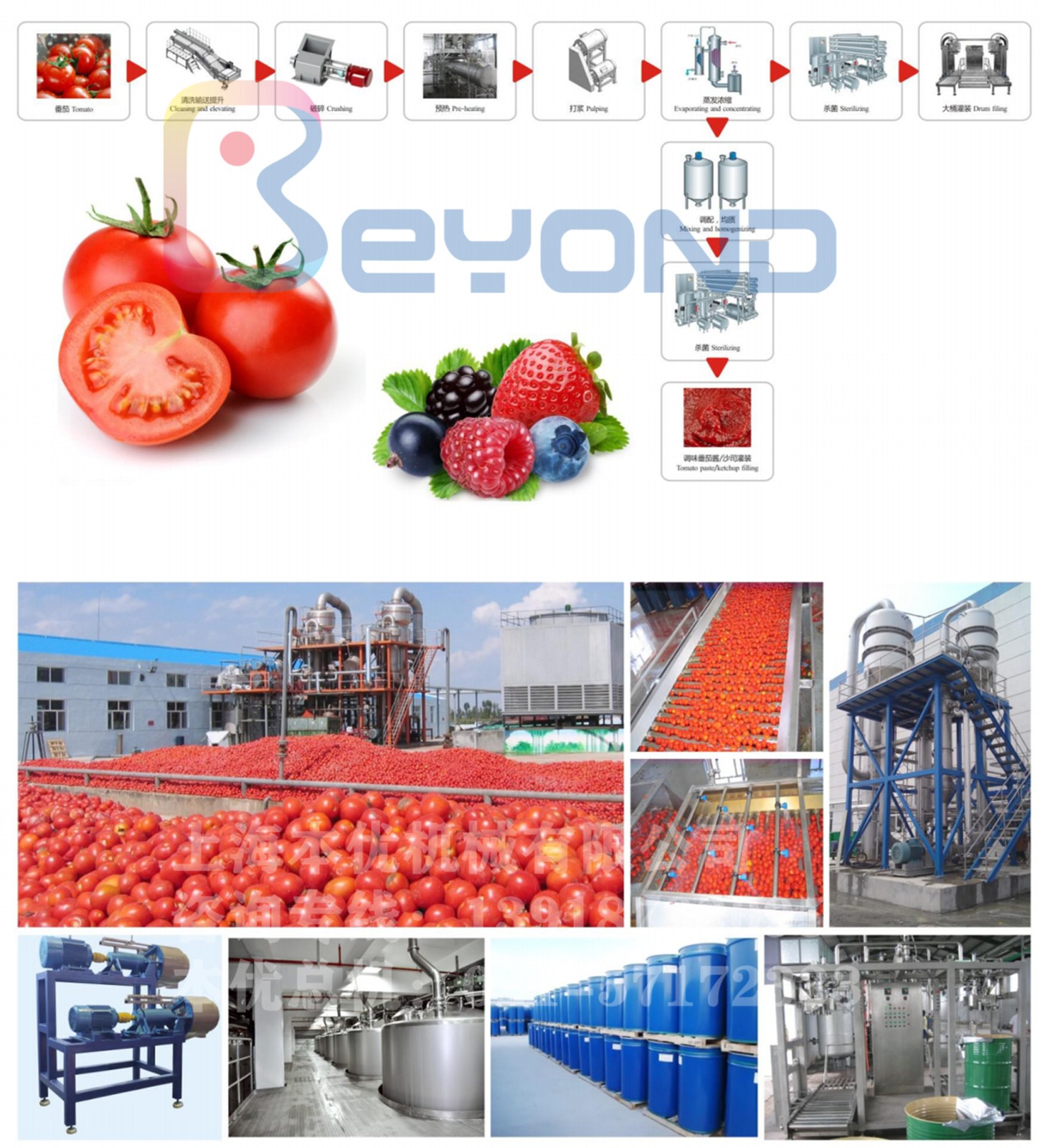 1627451795740528.jpg 番茄.jpg